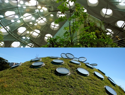 Cal Academy of Sciences biodome and living roof